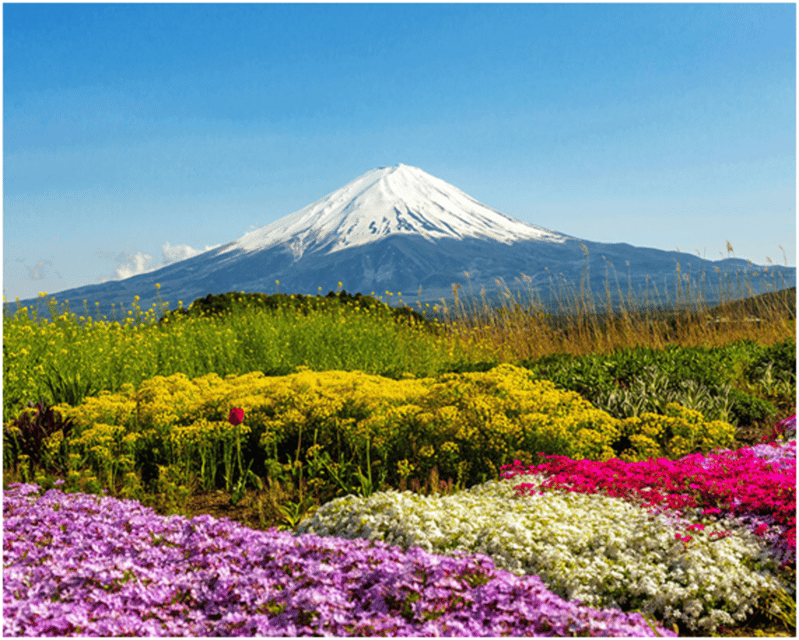 From Tokyo: Mt.Fuji, Lake Kawaguchi, Oshino Hakkai Day Tour - Weather, seasonal changes, and realistic expectations