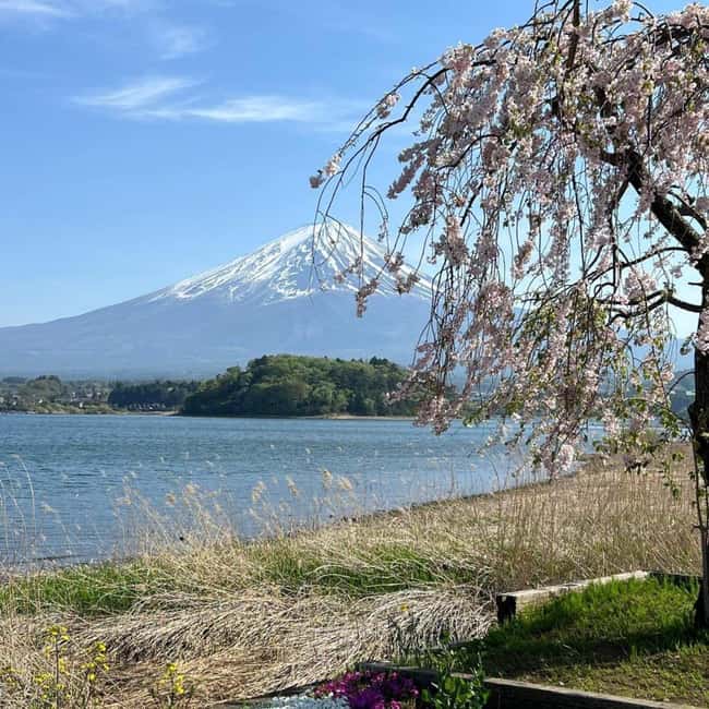 From Tokyo: Mt Fuji Private Day Tour In Luxury Land Cruiser - What this private Fuji trip is really like