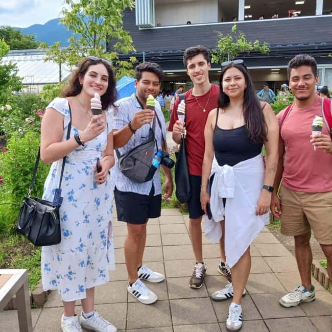 From Tokyo: Mt Fuji Private Day Tour In Luxury Land Cruiser - Hakone Ropeway and Hakone: a scheduling warning