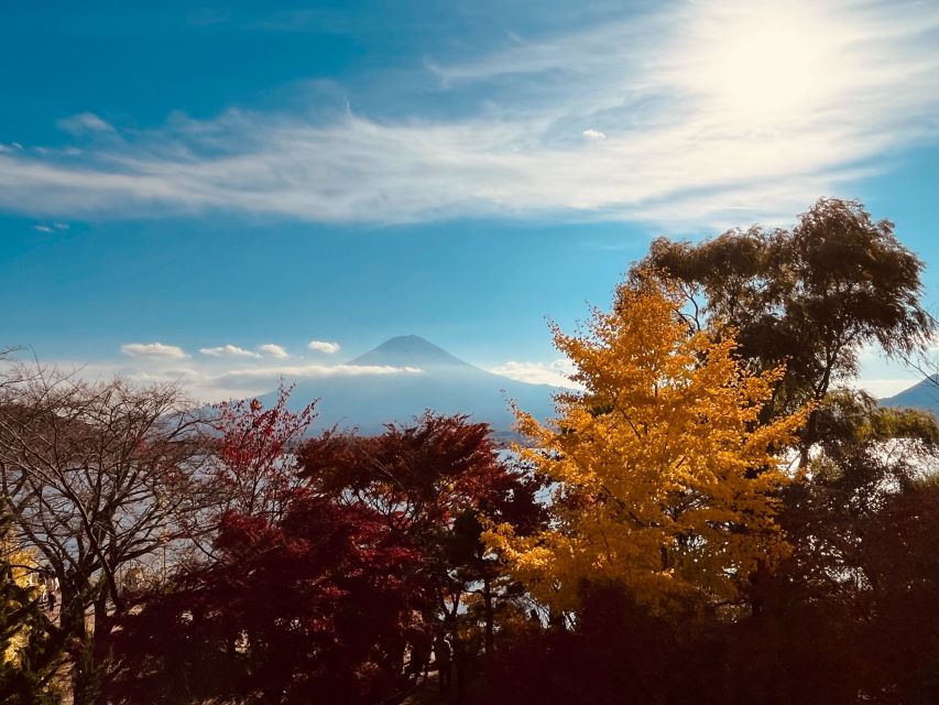 From Tokyo: Mt.Fuji, Tea Ceremony & Outlet Shopping Day Tour - Key points at a glance