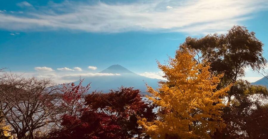 From Tokyo: Mt.Fuji, Tea Ceremony & Outlet Shopping Day Tour - Why this Mt. Fuji day trip works