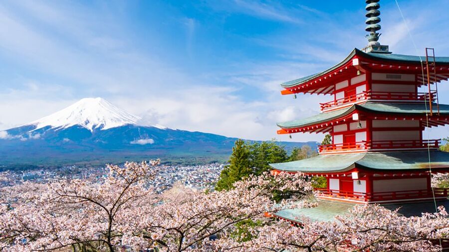 From Tokyo: Mt.Fuji, Tea Ceremony & Outlet Shopping Day Tour - Kinohananoyu: the shopping alternative