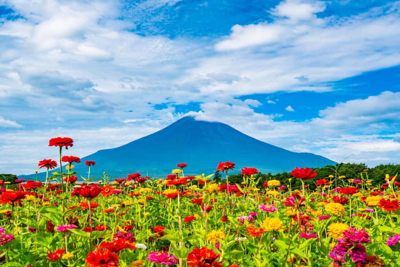 From Tokyo: Must-Visit Mount Fuji Highlight Full-Day Tour - The Fuji museum or a matcha break