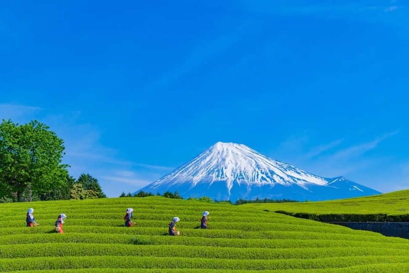 From Tokyo: Must-Visit Mount Fuji Highlight Full-Day Tour - Lake Kawaguchi and Oishi Park