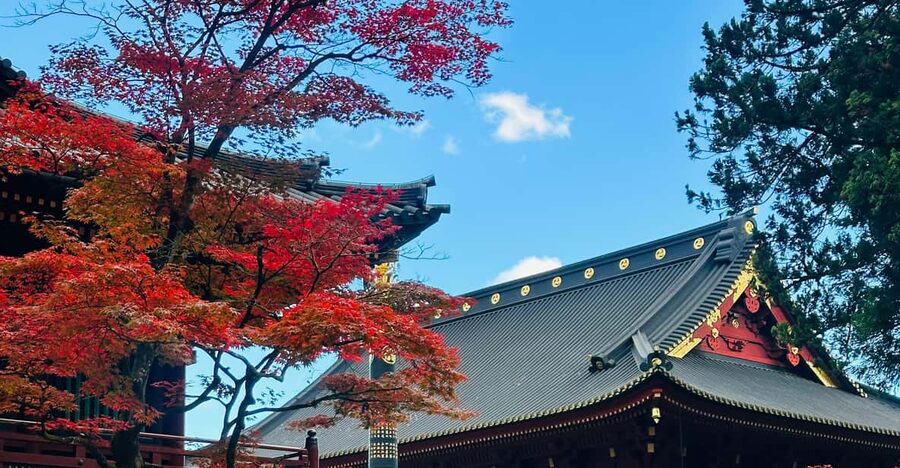 From Tokyo: Nikko Customize private Tour With English Driver - Why Nikko makes a good escape from Tokyo
