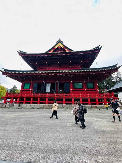 From Tokyo: Nikko Customize private Tour With English Driver - Toshogu Shrine and Nikko’s carved details