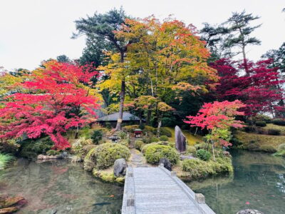 Nikko Customize private Tour With English Driver