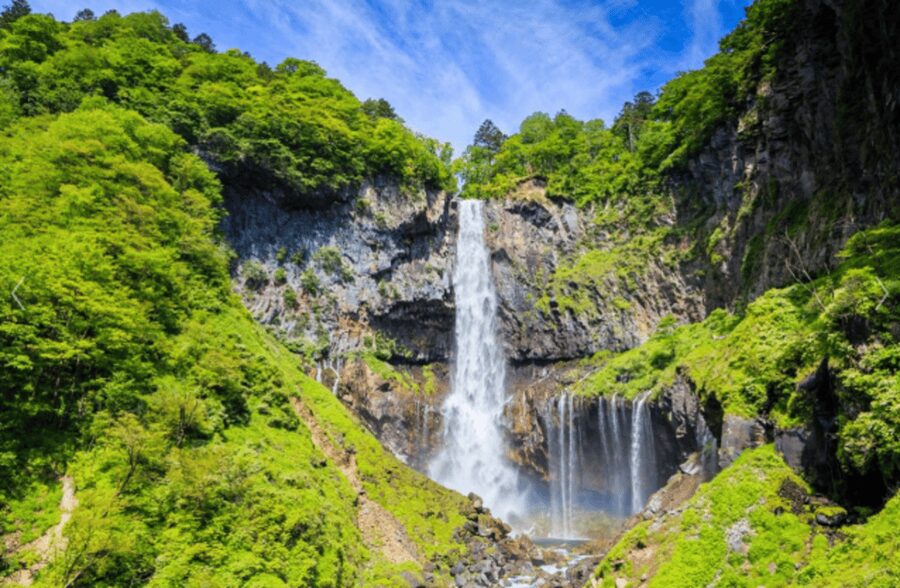 From Tokyo: Nikko Toshogu Day tour with Traditional Lunch - Toshogu Shrine and Tokugawa Ieyasu