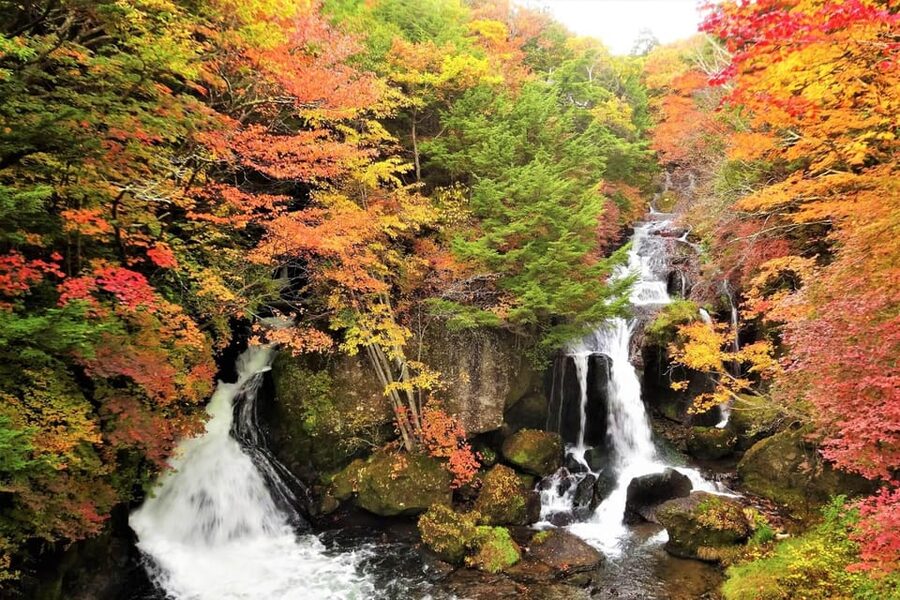 From Tokyo: Nikko World Heritage Site Private Full-Day Trip - Lake Chuzenji and Kegon Falls