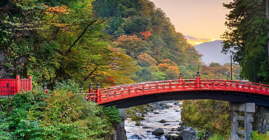 From Tokyo: Nikko World Heritage Site Private Full-Day Trip - Optional choices: Edo Wonderland or Kanmangafuchi Abyss