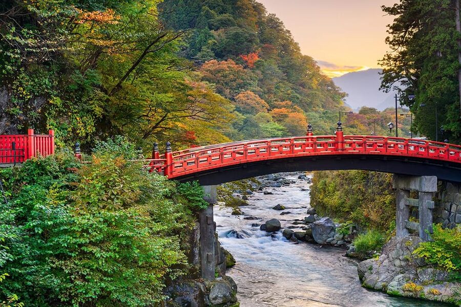 From Tokyo: Nikko World Heritage Site Private Full-Day Trip - Lunch, photo help, and small acts of care
