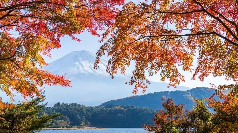 From Tokyo: Private Mt. Fuji and Hakone Tour by Car - A private route from Tokyo to Fuji country