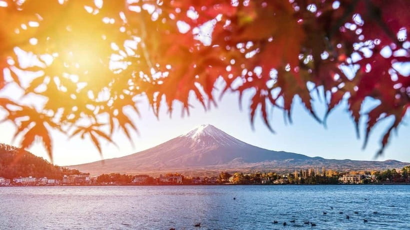 From Tokyo: Private Mt. Fuji and Hakone Tour by Car - The 5th Station adds altitude and drama
