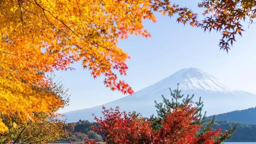 From Tokyo: Private Mt. Fuji and Hakone Tour by Car - Lunch in Hakone keeps the day moving