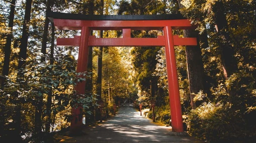 From Tokyo: Private Mt. Fuji and Hakone Tour by Car - Art among the mountains at the Open-Air Museum