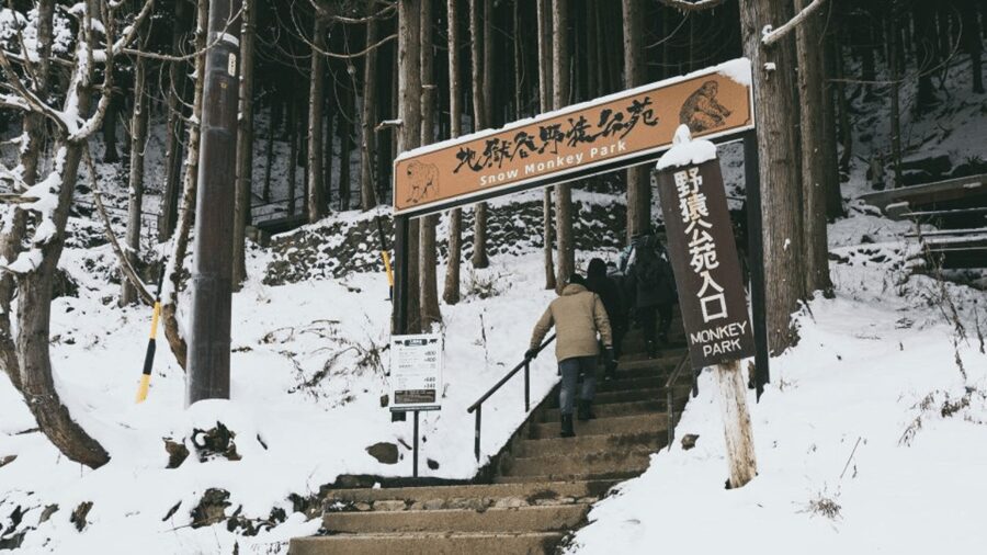 From Tokyo: Private Tour Snow Monkey Park & Zenko-ji Temple - The private vehicle is the main luxury
