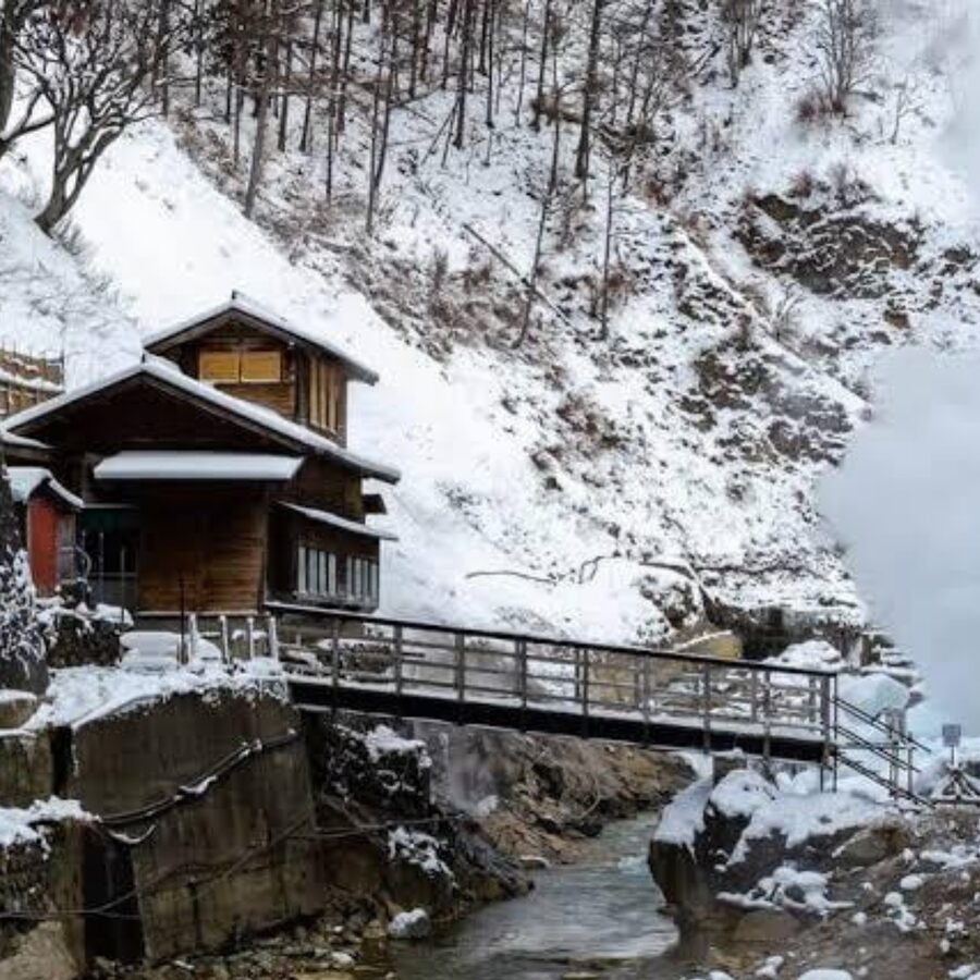 From Tokyo: Private Tour Snow Monkey Park & Zenko-ji Temple - Is $445 good value for your group?