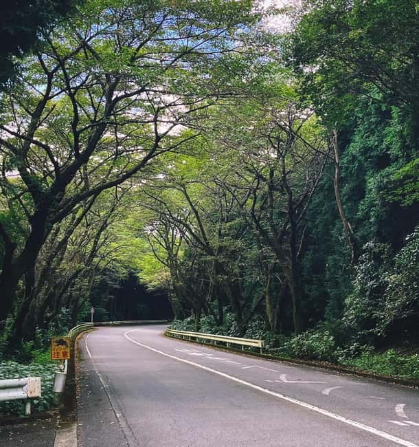 From Tokyo: Private Tour to Fuji/Hakone - Onsen, Art, Nature - Key points at a glance