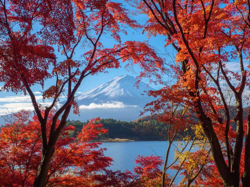 From Tokyo: Private Tour to Fuji/Hakone - Onsen, Art, Nature - Shakushi Pass and the quieter side of Hakone