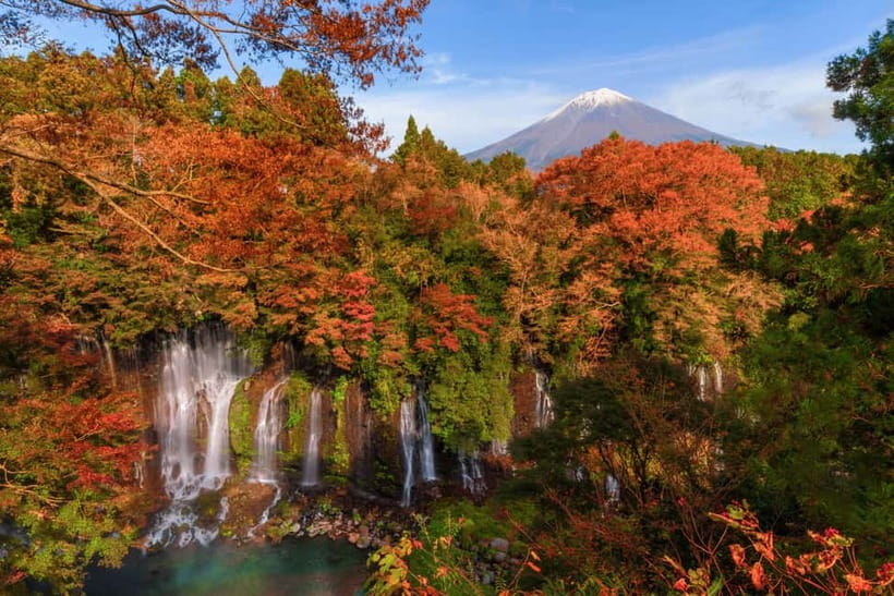 From Tokyo: Private Tour to Fuji/Hakone - Onsen, Art, Nature - Choosing between Hakone’s two art museums