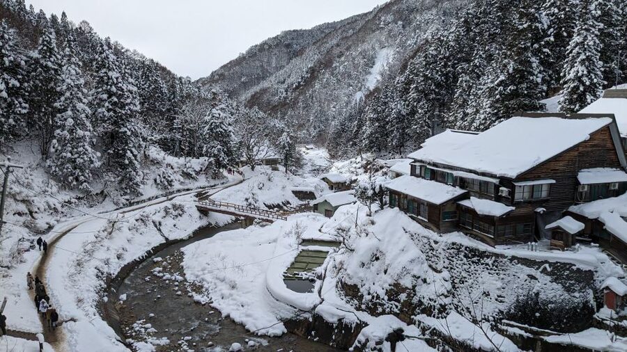 From Tokyo: Snow Monkey 1 Day Tour with Beef Sukiyaki Lunch - What to bring and how to prepare