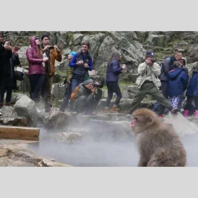 From Tokyo: Snow Monkey Park and Miso Production Day Tour - Obuse: small-town character and local food