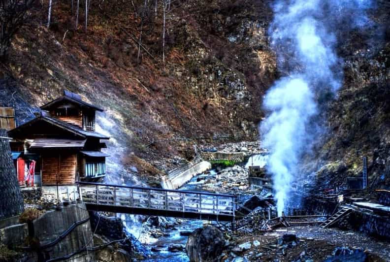 From Tokyo: Snow Monkey Private Customize Day Tour - Zenko-ji Temple and the spiritual heart of Nagano