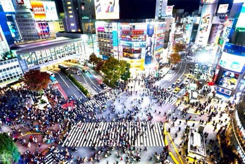 From Tokyo: Tokyo Private Customize Tour With English Driver - Meiji Shrine and the calm of the forest