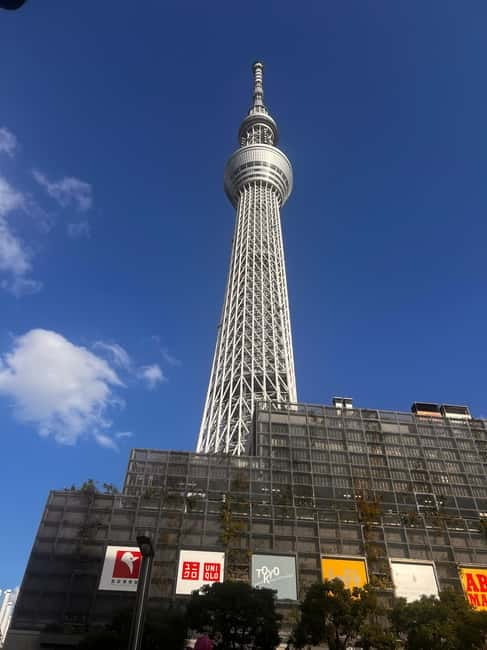 From Tokyo: Tokyo Private Customize Tour With English Driver - Harajuku and Takeshita Street for Tokyo style