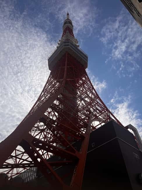 From Tokyo: Tokyo Private Customize Tour With English Driver - Tsukiji Outer Market for food and local flavor