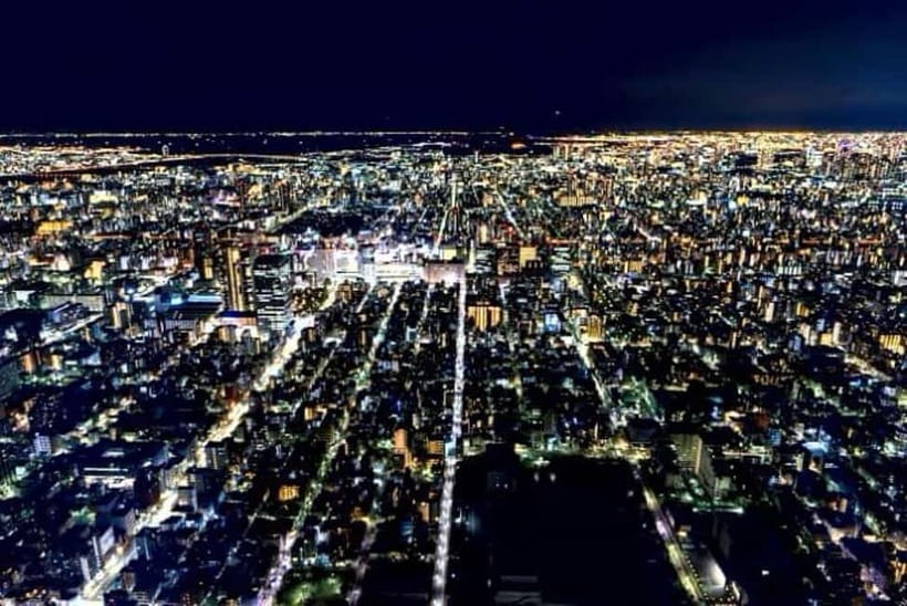 From Tokyo: Tokyo Private Customize Tour With English Driver - What the driver service adds to the day