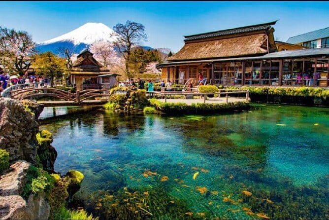 From Tokyo: Top 5 Scenic Spots of Mount Fuji Full-Day Tour - Oshino Hakkai and the spring-fed village