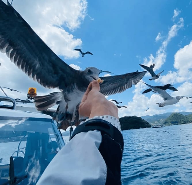 FromOsaka/Kyoto:Hiroshima & Miyajima Private Tour with Lunch - Key points to know before booking