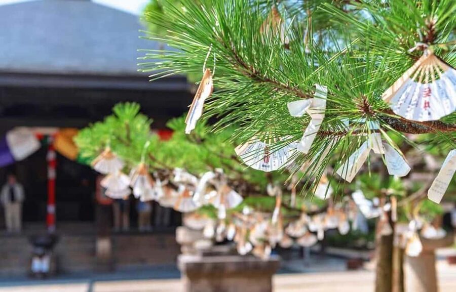 FromOsaka/Kyoto:Hiroshima & Miyajima Private Tour with Lunch - Itsukushima Shrine: Japan’s most famous coastal view