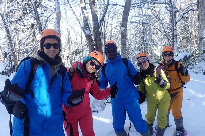 Frozen fall trekking - Starting at Hida-Osaka Station