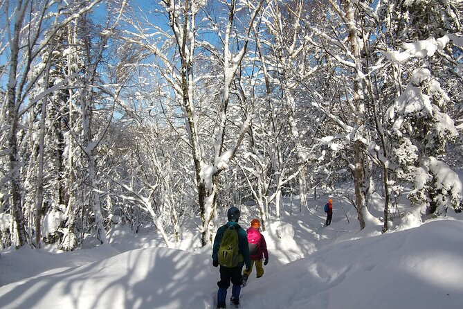 Frozen fall trekking - Weather, Cancellations, and Useful Planning