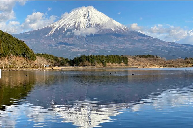Fuji Highlights Group Car Tour by Shimizu Port with Local Guide - What makes this Shimizu Port tour worth considering