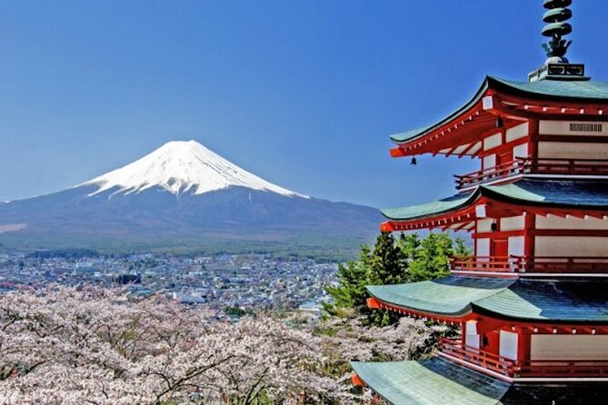 Fuji Speedway Self Drive & Mt. Fuji Private Tour pickup & dropoff - Key points to know before booking