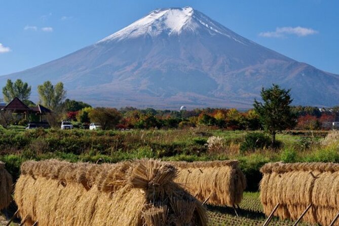 Fuji Speedway Self Drive & Mt. Fuji Private Tour pickup & dropoff - Guide quality and the value of a private car