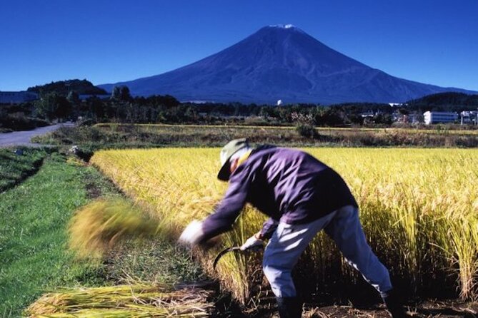 Fuji Speedway Self Drive & Mt. Fuji Private Tour pickup & dropoff - Who should book this experience?