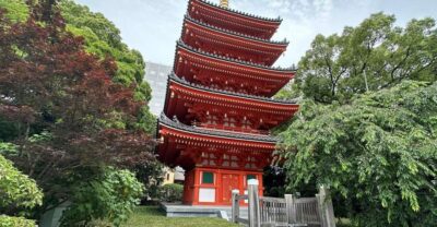 Customized Private Tour