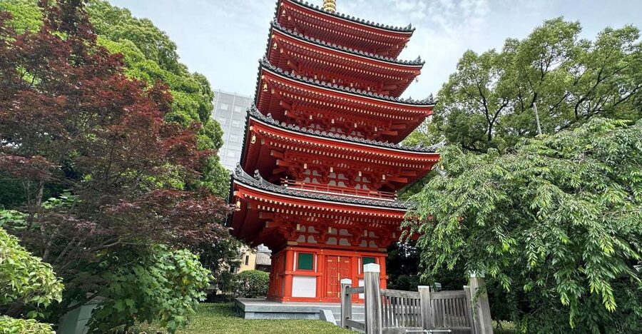 Fukuoka: Customized Private Tour - Planning your route with the local team