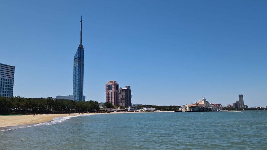 Fukuoka: Customized Tour with Local Guide - Walking, transport, and the real cost
