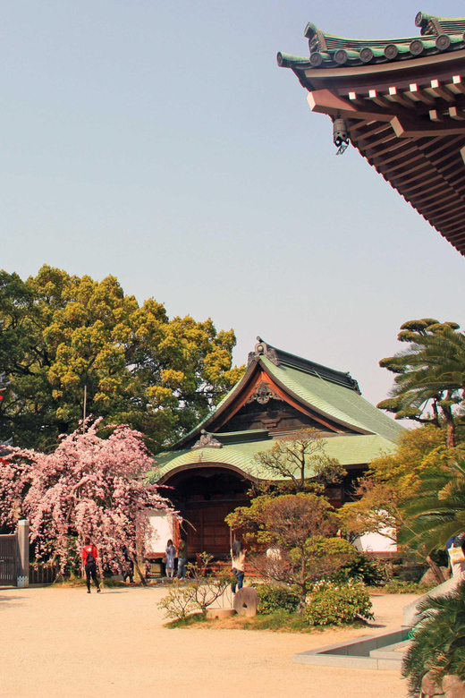 Fukuoka Essentials: History, Culture, & Charms - Shofukuji: Kyushu’s Oldest Zen Temple
