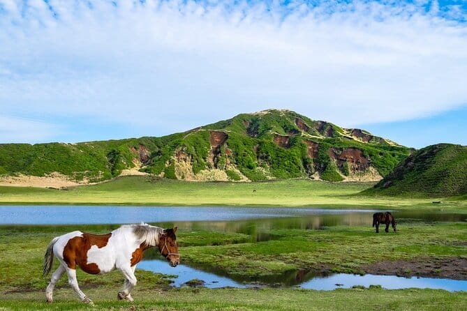 Fukuoka: Mount Aso Volcano, Kumamoto Castle, Grasslands Day Tour - Why this day trip works from Fukuoka