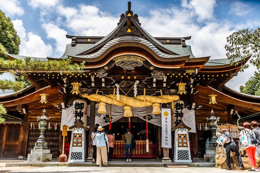 Fukuoka Private and Personalized Walking Tour with a Local - Ohori Park, Fukuoka Tower, and the museum