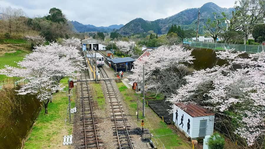 Fukuoka: Takachiho Gorge & Scenic Railway One Day Tour - Food, toilets, and the rhythm of the day