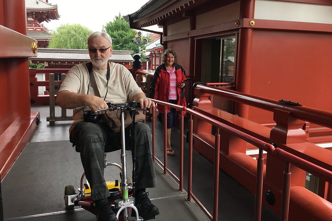 Full-Day Accessible Tour of Tokyo for Wheelchair Users - Crossing Shibuya without the stress