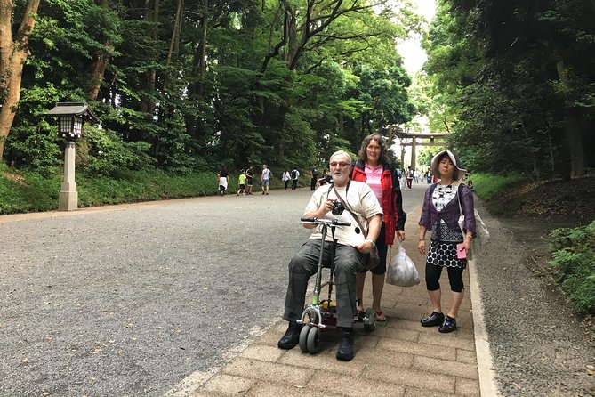 Full-Day Accessible Tour of Tokyo for Wheelchair Users - Using Tokyo’s trains with a guide