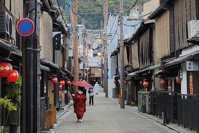 Full Day Guided Tour to Kyoto and Nara from Osaka by Van - Nara Park and the famous deer